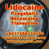 Lidocaine Tianeptine pregabalin raw Powder 137-58-6 Factory