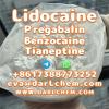 Lidocaine Tianeptine pregabalin raw Powder 137-58-6 Best Pri
