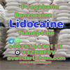 Lidocaine Tianeptine pregabalin raw Powder 137-58-6 Good Pri