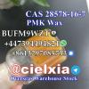 High Yield CAS 28578-16-7 PMK glycidate PMK powder/oil