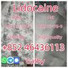 High Quality API Local Lidocaine Powder CAS 137-58-6  Add +8
