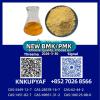 PM.K Oil CAS 28578-16-7 | BM.K Powder 5449-12-7 Manufacturer