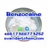 Mingqi Supply High Purity CAS 94-09-7 Benzocaine powder Salt Mingqi Supply High Purity CAS 94-09-7 Benzocaine powder Salt