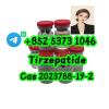 Tirzepatide CAS 2023788 – 19 – 2 tirze sema High quality Tirzepatide CAS 2023788 – 19 – 2 tirze sema High quality