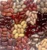 Dodávky fazule z Ukrajiny