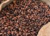 Coffee export, Cashews, Sunflower oil, Palm Oil, Soybean oil