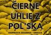 Poľské sliezske uhlie - ekohrášok orava | doprava zdarma