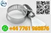 Corrosion-resistant free sample 304 hose clamp