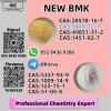Hot Sale New B.MK Power CAS 5449-12-7/5413-05-8
