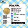 Hot Sale New BM.K Power CAS 5449-12-7/5413-05-8
