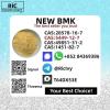 Hot Sale New BM.K Power CAS 5449-12-7/5413-05-8