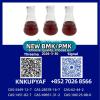 BM.K Powder 5449-12-7 | PM.K Oil 28578-16-7 Direct Factory