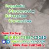 pregabalin Briracetam Tianeptine raw Powder 148553-50-8 Fact