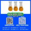 Premium Grade PM.K CAS 28578-16-7| Factory Direct Wholesale