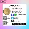 Original Factory 49851-31-2 BMK PMK Supply 5449-12-7 28578-1