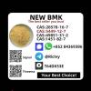Original Factory 49851-31-2 BM.K P.MK Supply