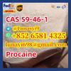 Procaine CAS 59-46-1 Procaine CAS 59-46-1
