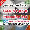 Procaine hydrochloride powder CAS 51-05-8 Procaine hydrochlo