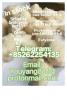 strongest cannabis 5cladba powder 5cl-adb-a jwh-018 lowest p