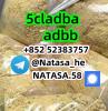 Strong 5cladba raw materials 5CL-ADB precursor powder suppli