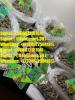 Buy weed in usa,buy weed in germany,uk,europe,nz,asia