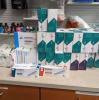 Hypnogen, Stilnox, Zolpidem, Zolpinox,
